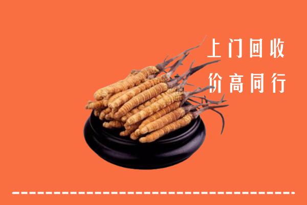 醴陵市冬虫夏草回收多少钱每克