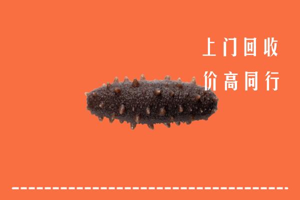 醴陵市高价回收海参